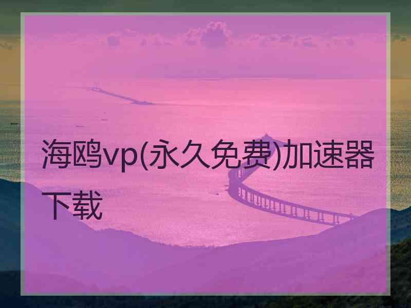 海鸥vp(永久免费)加速器下载