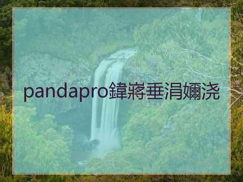 pandapro鍏嶈垂涓嬭浇
