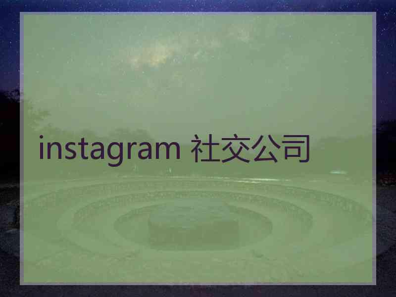 instagram 社交公司