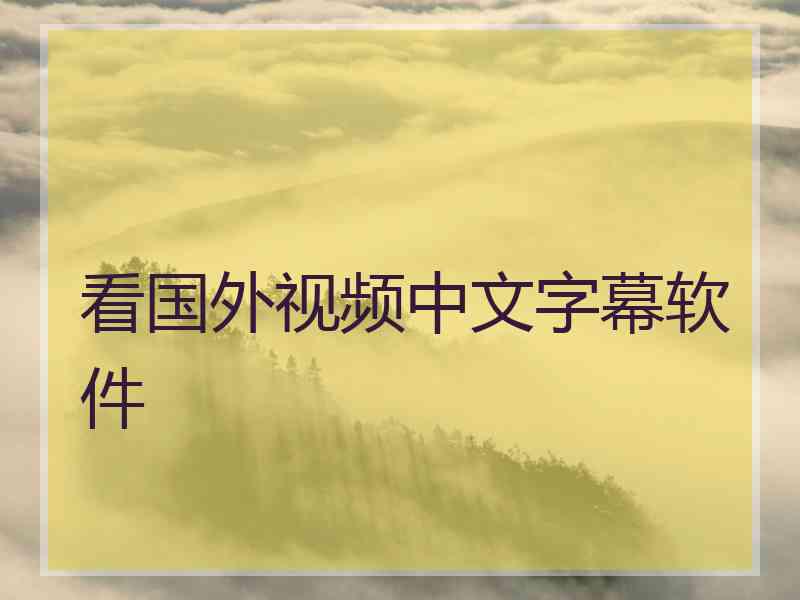 看国外视频中文字幕软件