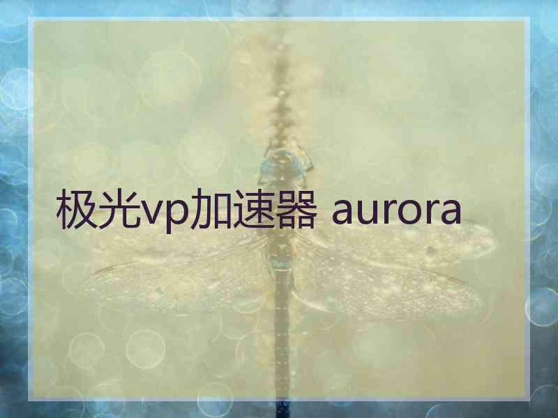 极光vp加速器 aurora
