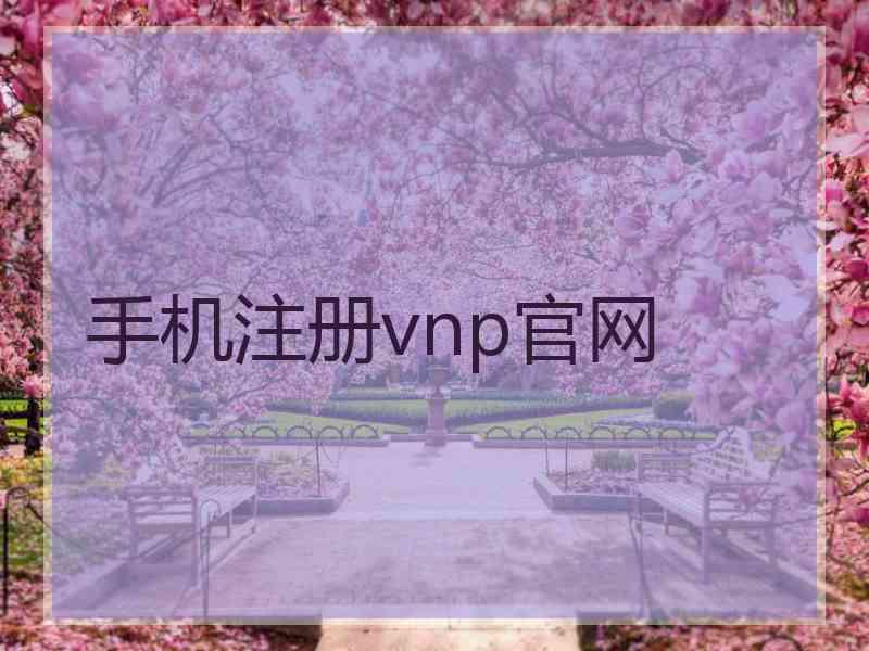 手机注册vnp官网