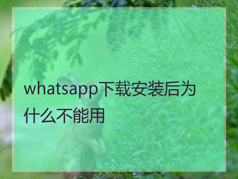 whatsapp下载安装后为什么不能用
