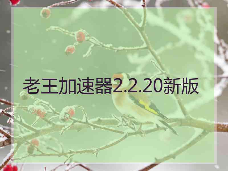 老王加速器2.2.20新版