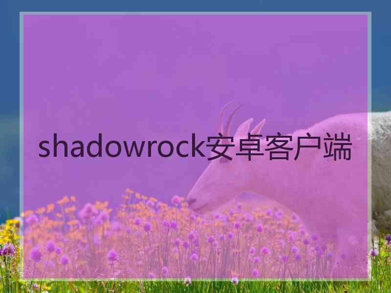 shadowrock安卓客户端