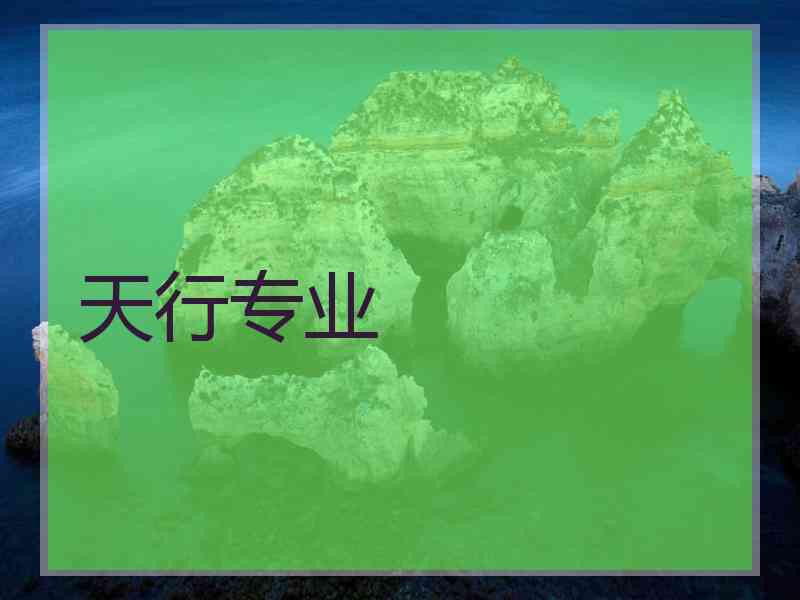 天行专业