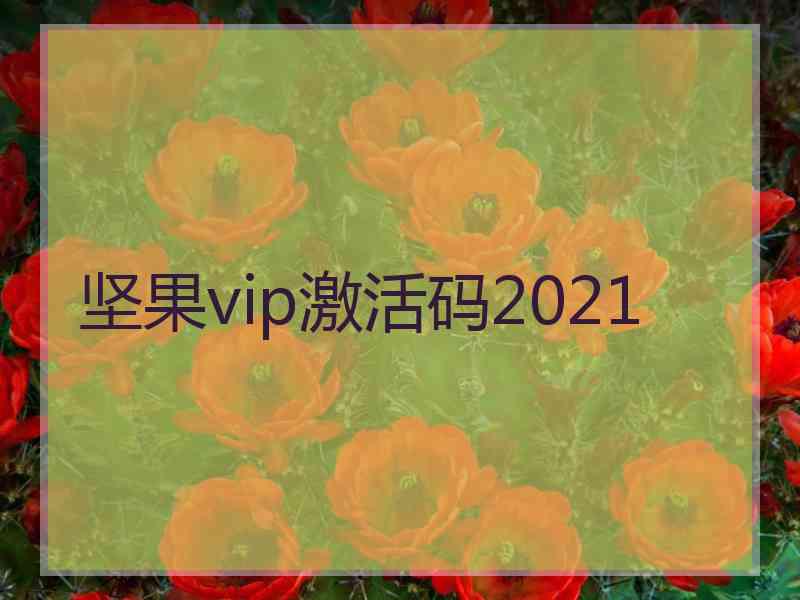 坚果vip激活码2021