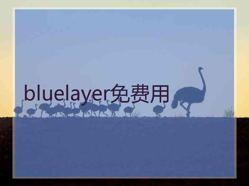 bluelayer免费用