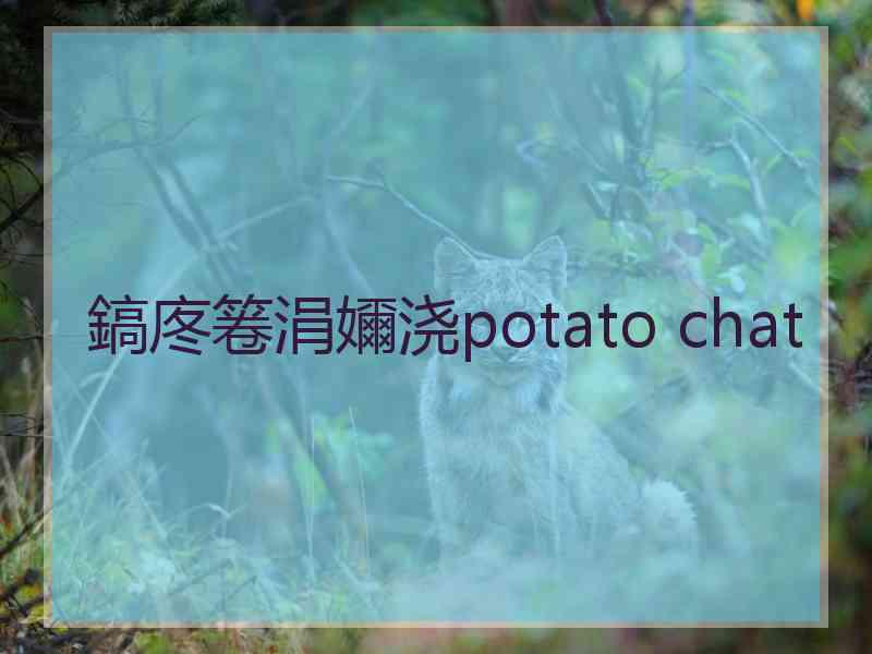 鎬庝箞涓嬭浇potato chat