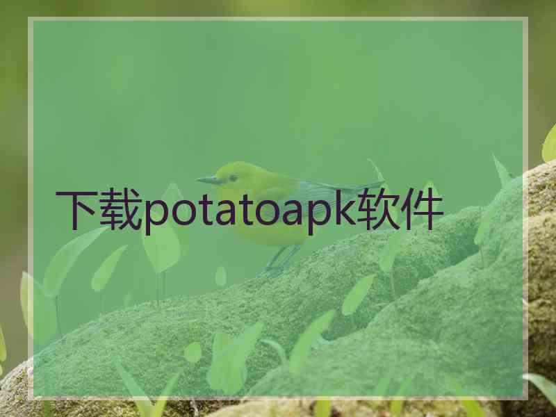 下载potatoapk软件
