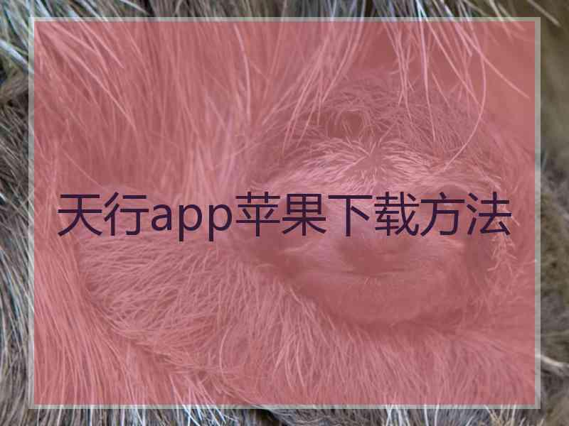 天行app苹果下载方法