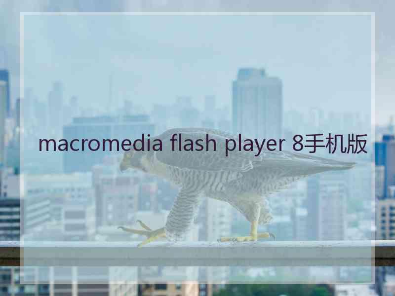 macromedia flash player 8手机版