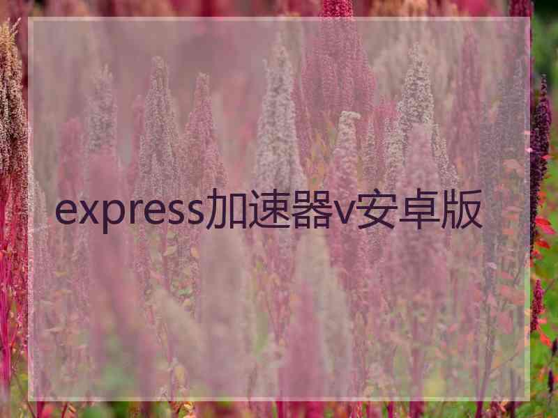 express加速器v安卓版