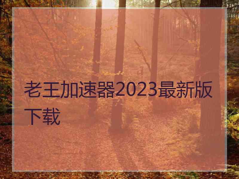 老王加速器2023最新版下载