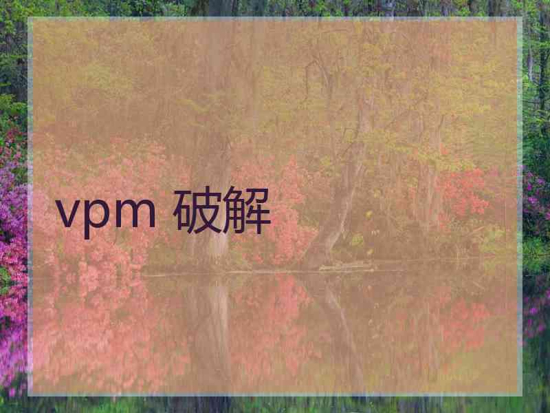vpm 破解