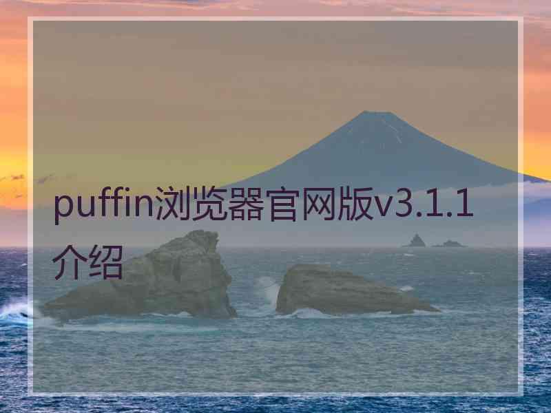 puffin浏览器官网版v3.1.1介绍