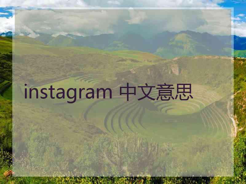 instagram 中文意思