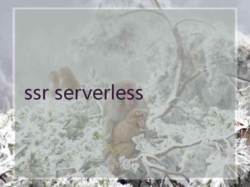 ssr serverless