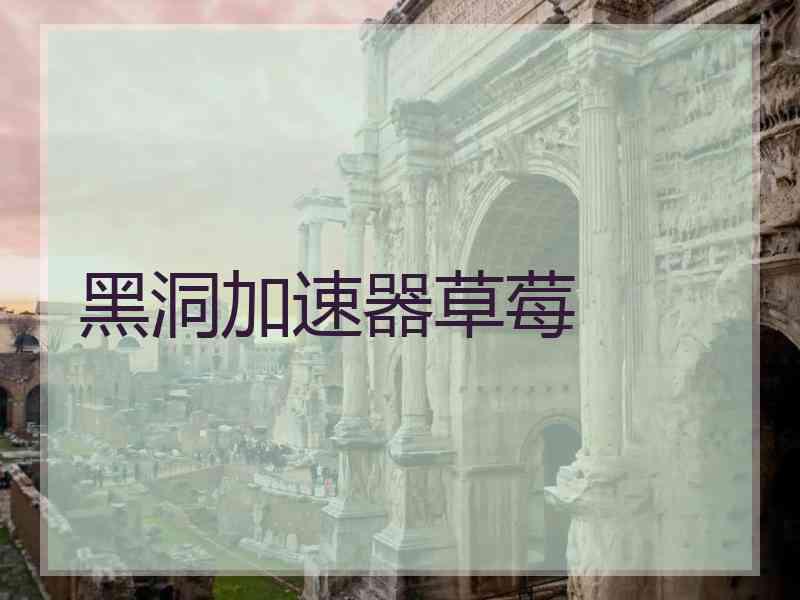 黑洞加速器草莓