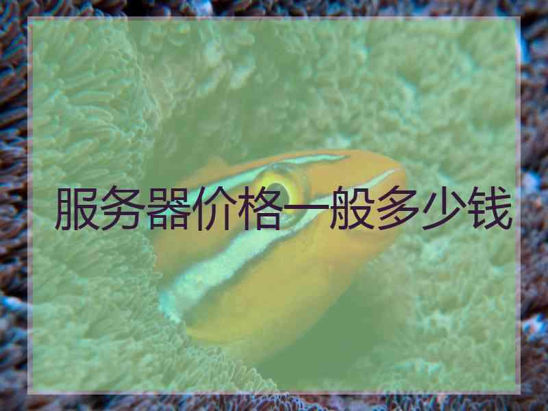 服务器价格一般多少钱 服务器价格一般多少钱