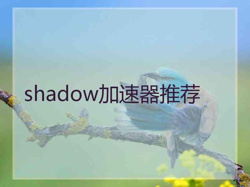 shadow加速器推荐