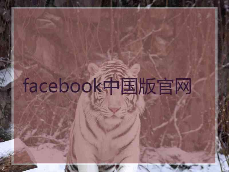 facebook中国版官网