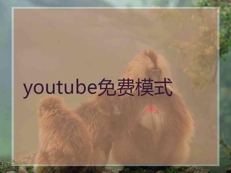 youtube免费模式