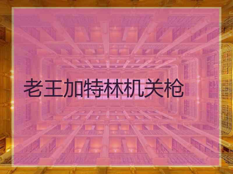 老王加特林机关枪 老王加特林机关枪