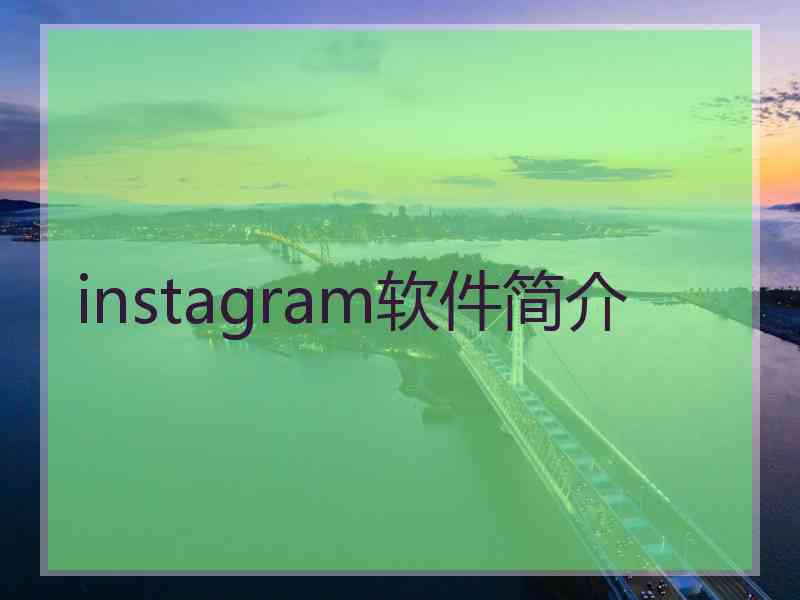 instagram软件简介
