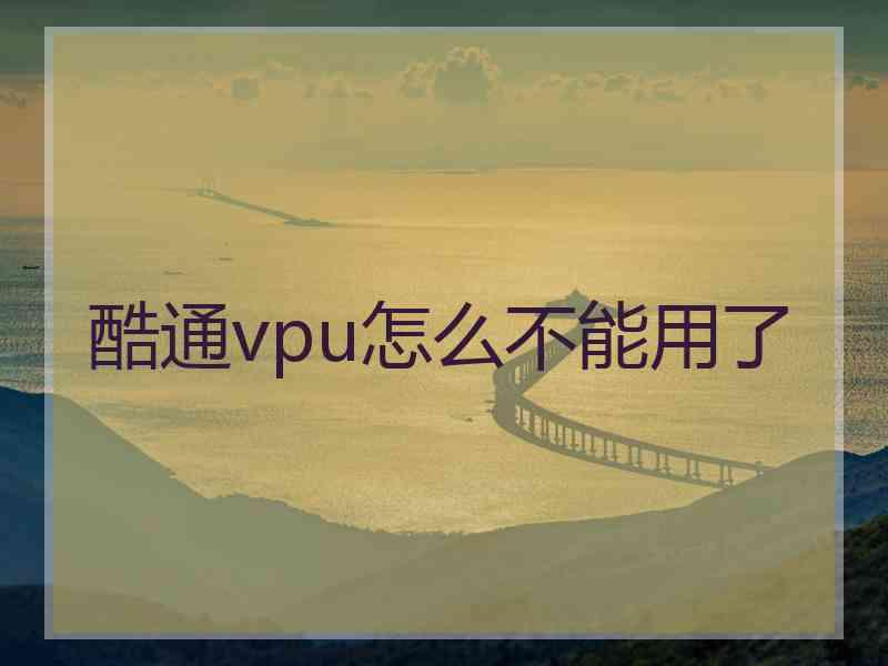 酷通vpu怎么不能用了 酷通vpu怎么不能用了