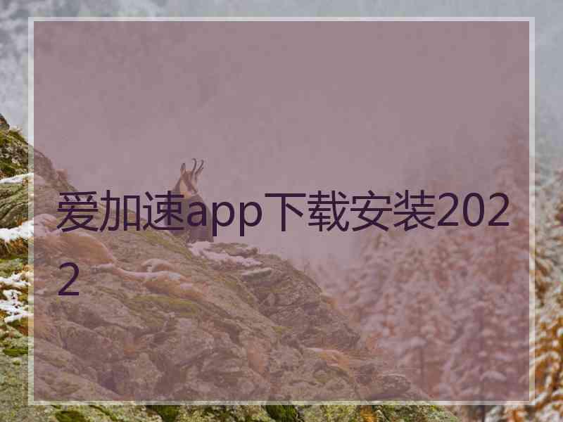 爱加速app下载安装2022