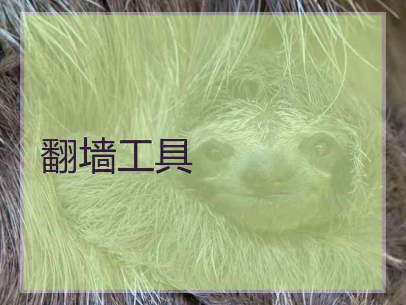翻墙工具