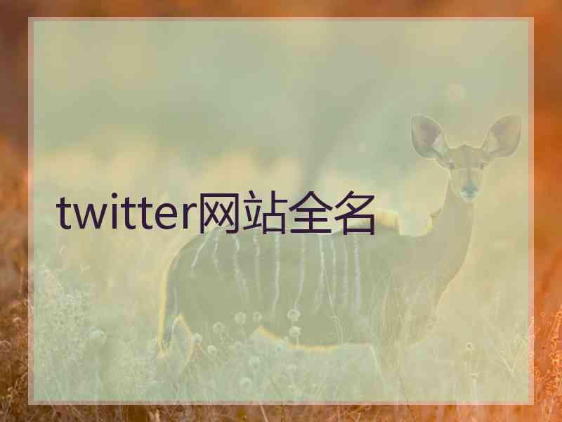 twitter网站全名 twitter网站全名