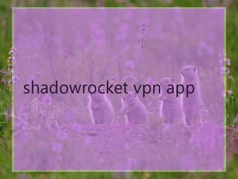 shadowrocket vpn app