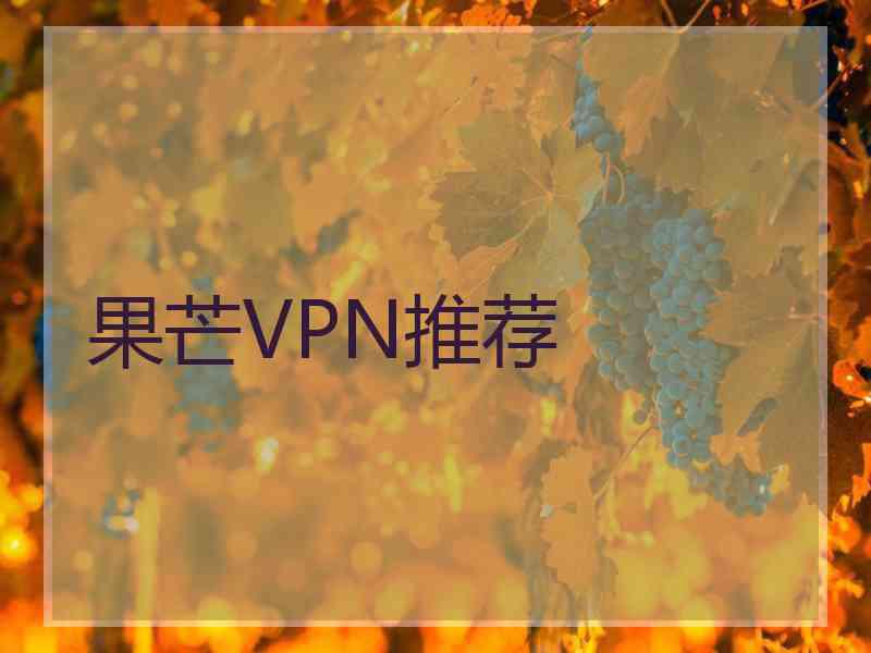果芒VPN推荐