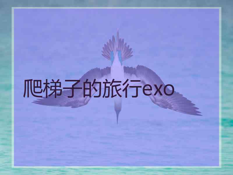 爬梯子的旅行exo 爬梯子的旅行exo