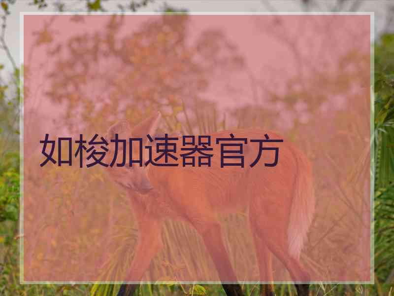 如梭加速器官方 如梭加速器官方