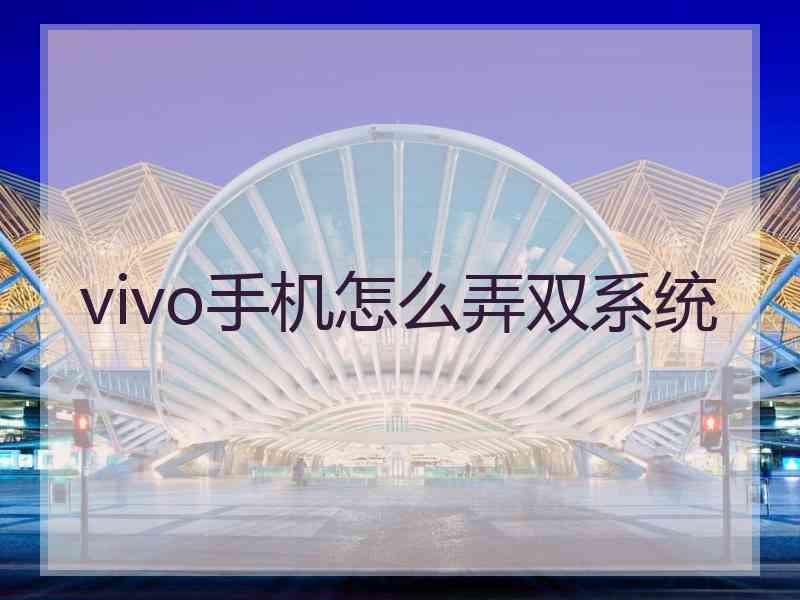 vivo手机怎么弄双系统 vivo手机怎么弄双系统
