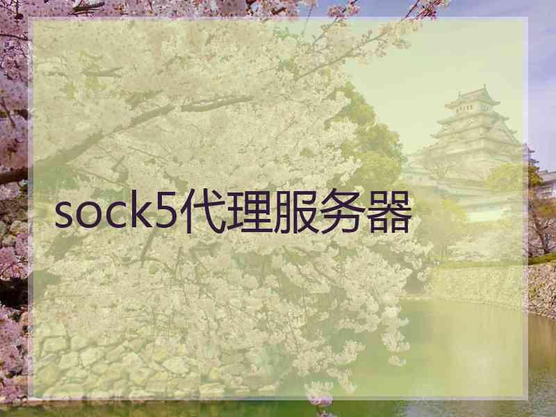 sock5代理服务器
