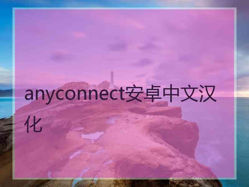 anyconnect安卓中文汉化