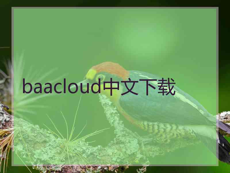baacloud中文下载