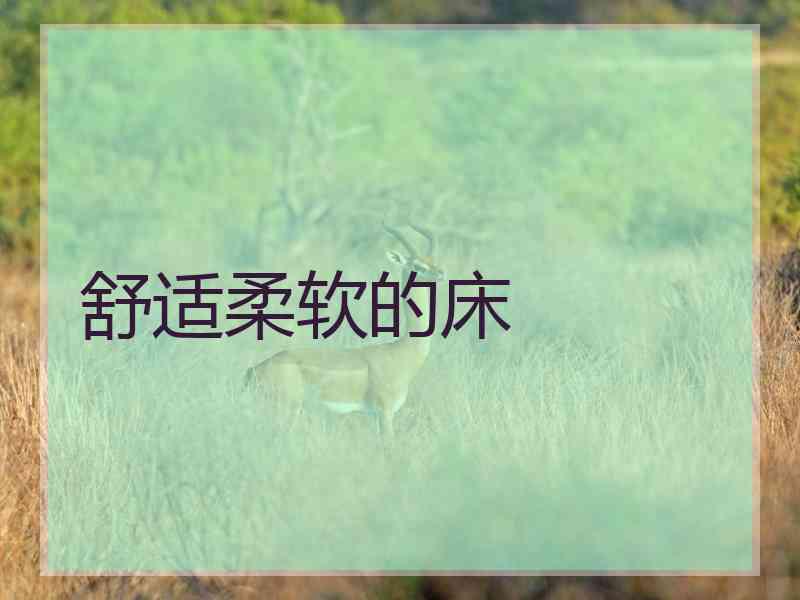 舒适柔软的床 舒适柔软的床