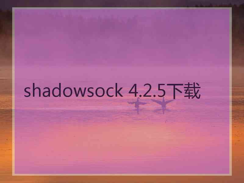shadowsock 4.2.5下载