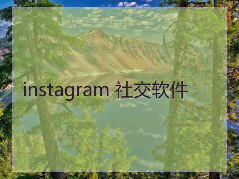 instagram 社交软件