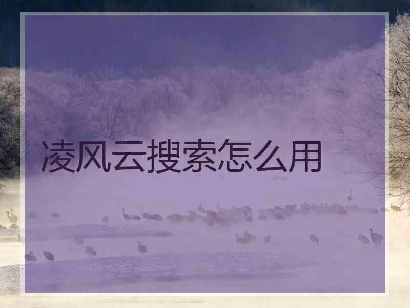 凌风云搜索怎么用 凌风云搜索怎么用