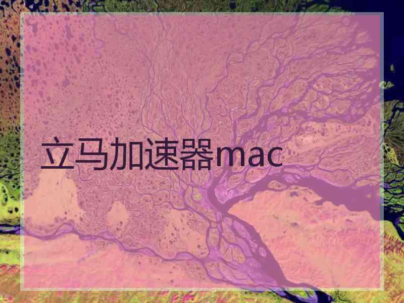 立马加速器mac