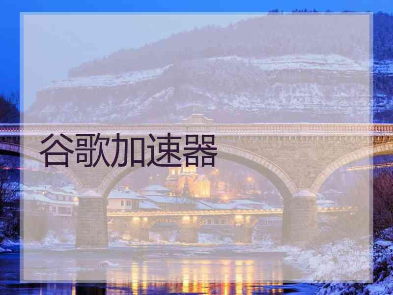 谷歌加速器