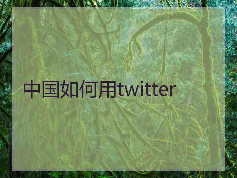中国如何用twitter