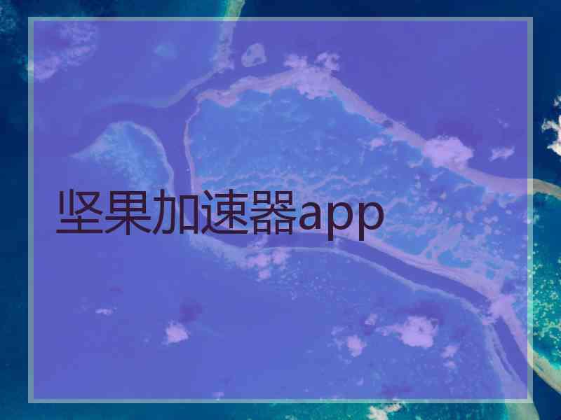 坚果加速器app