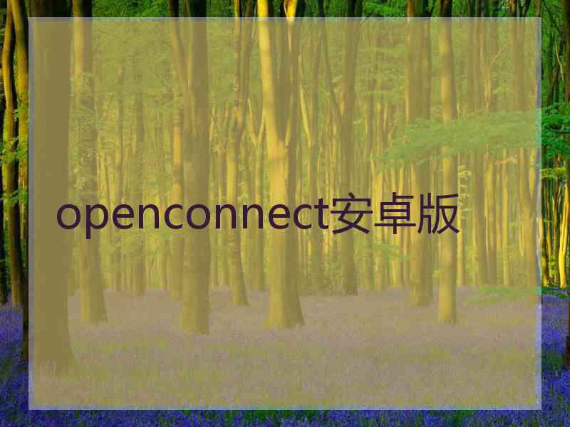 openconnect安卓版